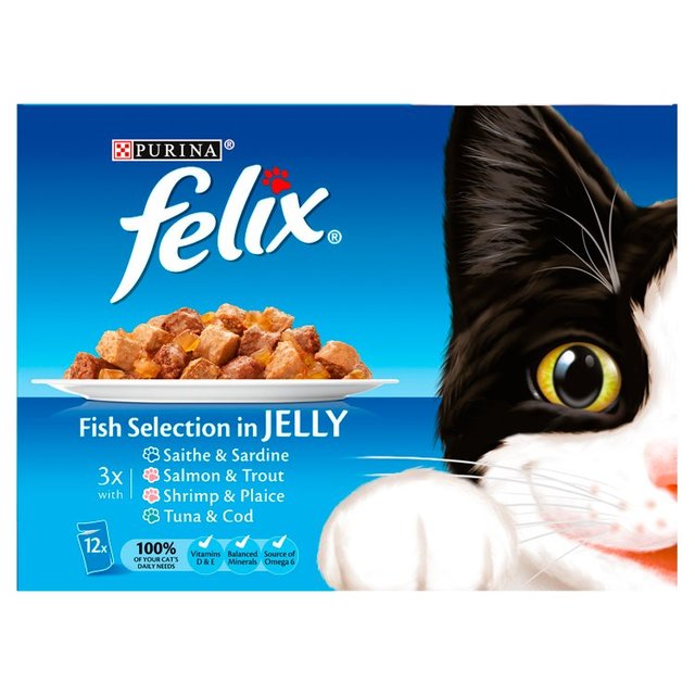 Felix Cat Food Fish Selection In Jelly 12x100g