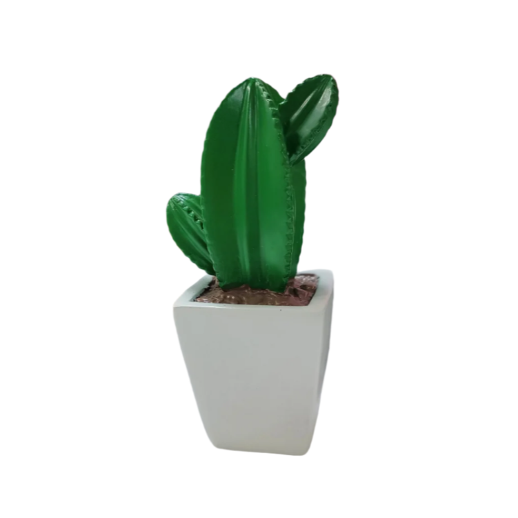 A.W. Cactus 16 cm (choose a color)