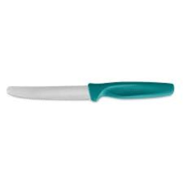Wüsthof blue  paring knife, 10 cm, perfect for precise slicing of fruits and vegetables.