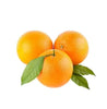 Fresh organic Valencia oranges, juicy and sweet, perfect for eating fresh or juicing.