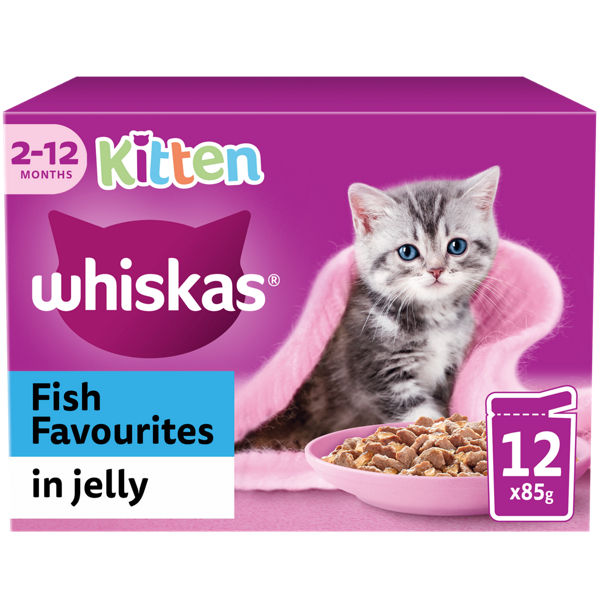 kitten-fish-jelly