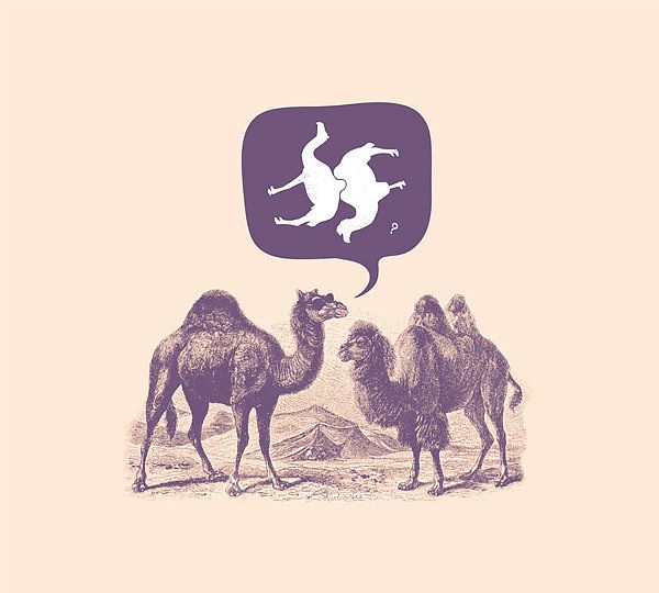 Ohh Deer Gift Card, Camels couple - Valentine's
